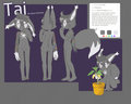 Tai Sheet (Not Lewd Version)