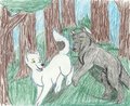 game of tag more shadding