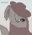 Howdy parder 