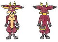 Jackalope Gal