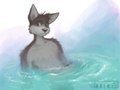 first run by bluehalo