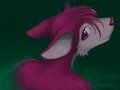 delphinium by bluehalo