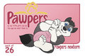 Loupy Pawpers newborn package