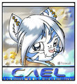 Cael Mini Tag