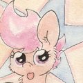 Filly, You are a Star!