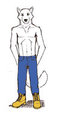 Henzo usual outfit  by TopGearAE101NA
