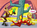 Dos Coyotes; Aloe! Aloe!