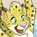 Splash! By Kwik & Gothicsiamese by Salmy
