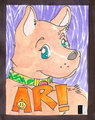 Ari badge RF 2014