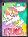 Eiko badge RF 2014