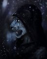 I will Always Belong to the Shadows by Mondeis