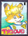 Tycloud badge RF 2014