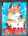 Damian badge RF 2014