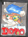 Ixyao badge RF 2014