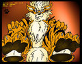 Arcanine paws by armiandillo