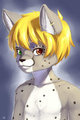 Cheetah Bust