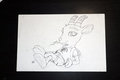 Ibek The Ibex by ToonFurry