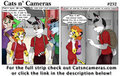 Cats n Cameras - Strip #232 "A Private show"