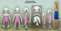 GW2 Female Asura Reference Sheet SFW Ver.
