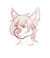 Avis Sketch 3 Koni by AvalonRoo