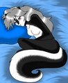 Beautiful Skunk by RioDingo