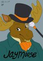 JayMoose 