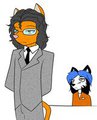 Lawyer cat