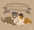 Hey, bro.
