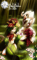 Two Chimeras
