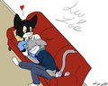 Kitty snugs