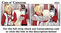 Cats n Cameras - Strip #233 - In a bad way.