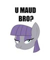 U Maud Bro?