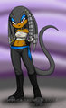 Sonic Boom: Serenity