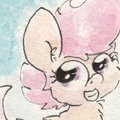 This is a Little Pony