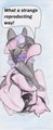 Shikimi's etude on Pok&eacute;mons