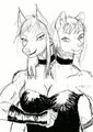Sketch-A-Day: Lupina Concolor by JackMcslay