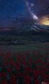 Infinite Sky by Danza