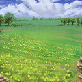 Rolling Fields