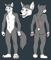 Ref Sheet by wolfy28