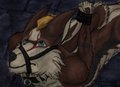 Bound and fearful
