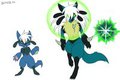 Rio the cario
