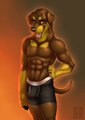 WyldeRottie Undies Commission by WyldeRottie