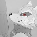 Rocket! by UrsoFofinho