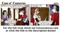 Cats n Cameras - Strip #234 - Flagpole Sitter