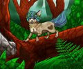 Forest walk by Eyenoom
