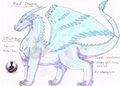 Wind-Dragon