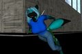 CHARGE!!!!!! by jangothebluefox