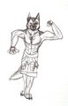 muscle furry  by Brownsugar