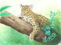 Hidden Harmony by Tivadu