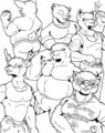 Bear Necessities